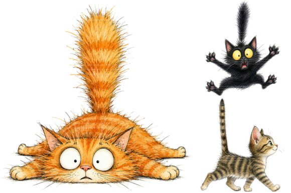 Download Whimsical Funny Cat PNG Bundle - Png bundle Collection